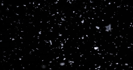 Falling real snowflakes, heavy snow, shot on a black background, frosted, wide-angle, insulated, ideal for digital composition, post-production