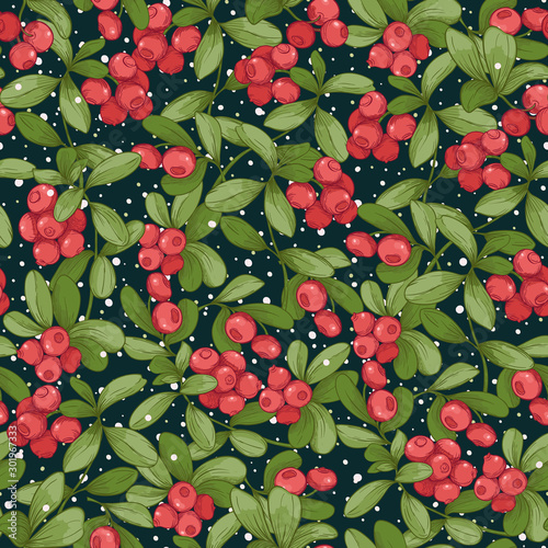 Cranberry and snow. Seamless pattern, background. Graphic drawing, engraving style. Vector illustration