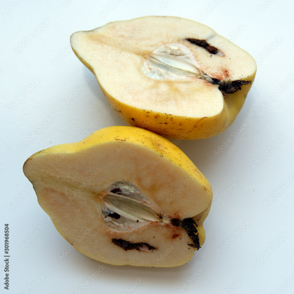 Big organic quince and quince sliced with worm on a white background Big organic quince and quince sliced with worm on a white background