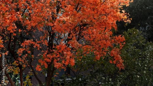 The bridge and sea view of Dalian City, Liaoning Province, China