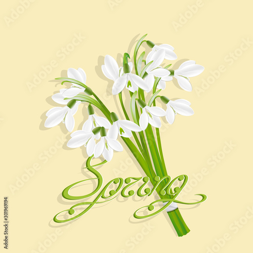 Isolated bouquet of snowdrops. Spring card with spring flowers and swirl handwritten text. Useful for congratulation, greeting, invitation and postcard. Vector, EPS 10