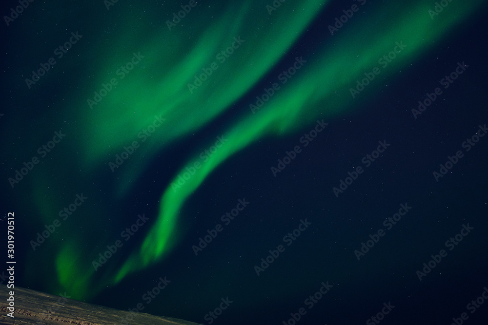 Fototapeta premium Aurora boreal