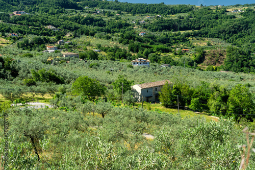 Landscape in Ciociaria at summer