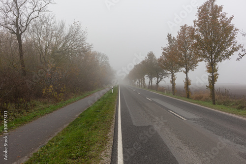 Einsame Landstrasse im Nebel, Herbst,Herbstmorgen