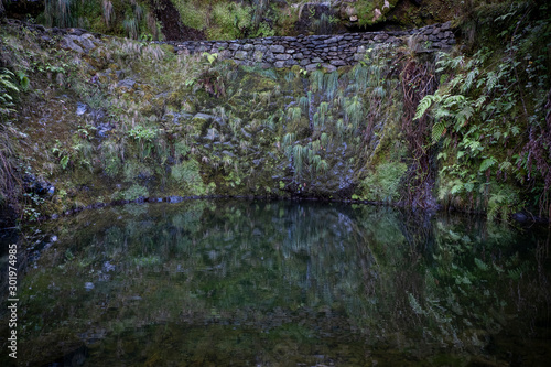 Pool and rocks on Levada Do Furado, PR10, from Ribeiro Frio Madeira, Portugal, Europe photo