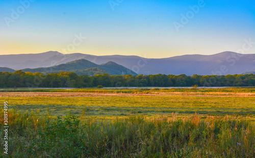 Landscape with an orange-green field against the backdrop of purple mountains.