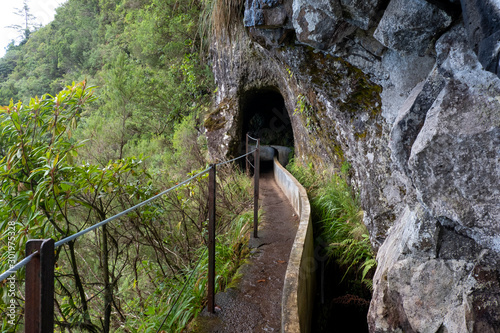 Tunnel on Levada Do Furado, PR10, from Ribeiro Frio Madeira, Portugal, Europe photo