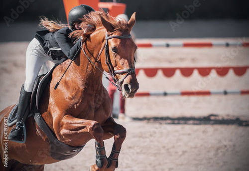 A sorrel horse with a flowing mane and with a girl rider in the saddle jumps over the barrier at a show jumping competition.