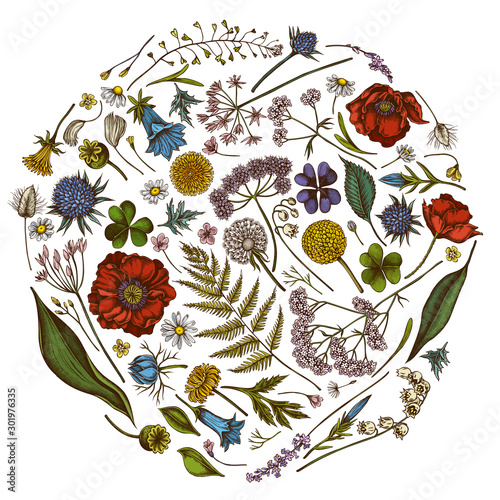 Round floral design with colored shepherd's purse, heather, fern, wild garlic, clover, globethistle, gentiana, astilbe, craspedia, lagurus, black caraway, chamomile, dandelion, poppy flower, lily of