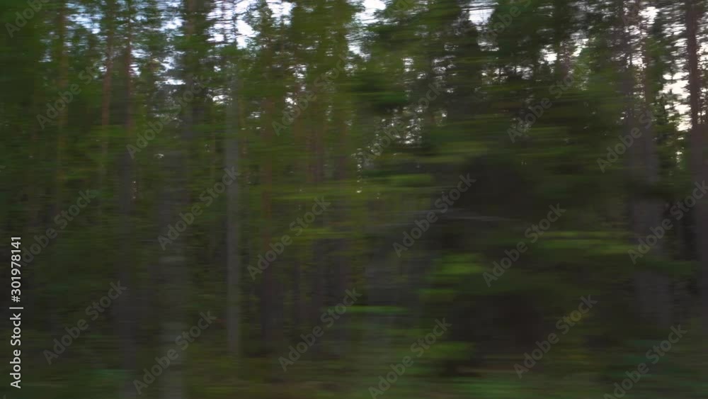 Car view of the rural forest road in 4k Car view of the rural forest road in 4k