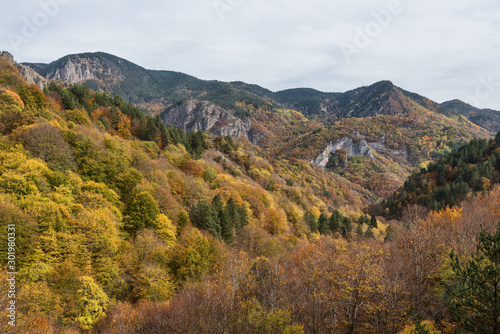 Landscape in Frakto in Rodopi mountain range national park