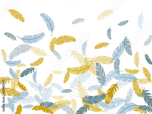 Fluffy twirled feathers on white design.