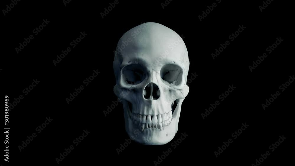 Human Skull Eats Up Viewer POV Human Skull Eats Up Viewer POV