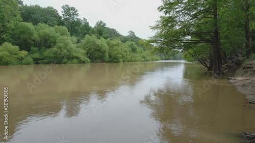 Bald Cypress trees inundated from the flooded waters of the Neuse River at Cliffs of the Neuse State Park in North Carolina photo