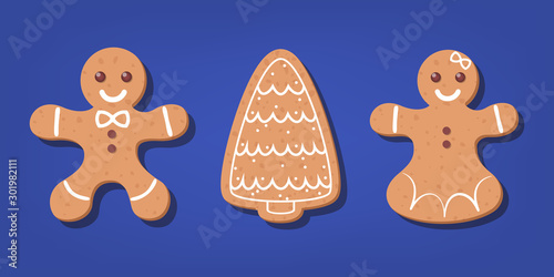 Set of traditional sweet baked christmas cookie