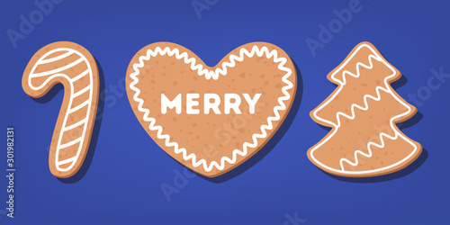 Set of traditional sweet baked christmas cookie