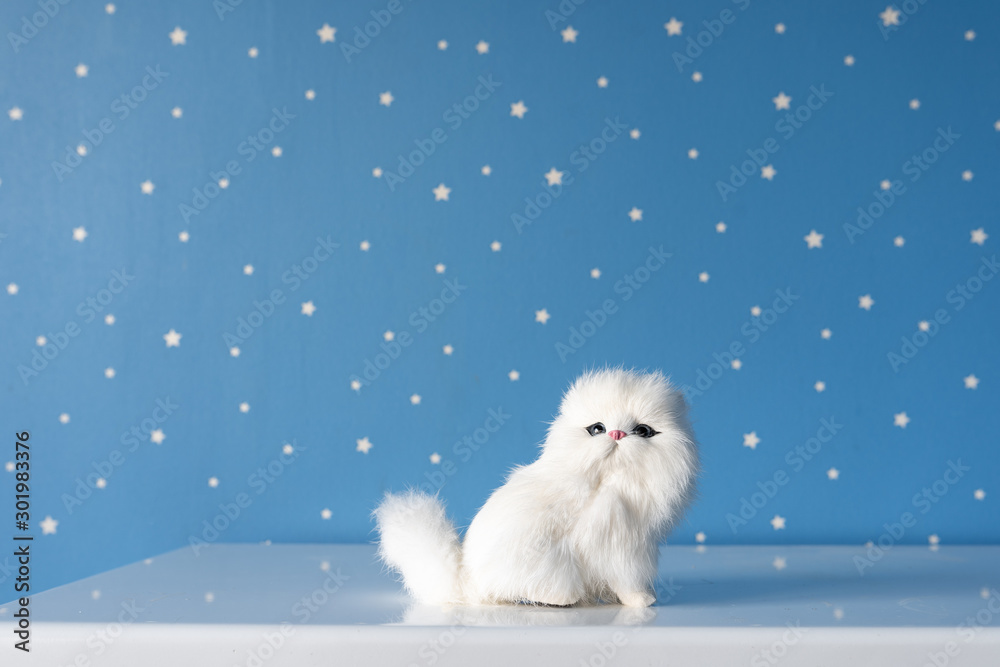 cat toy cat toy