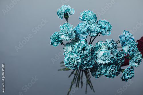 Foto Beautiful bouquet of tinted dyed carnations. Flower delivery