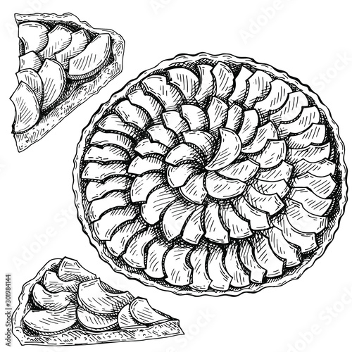 Sketch Ink apple cake. Hand drawn Top view of apple pie.