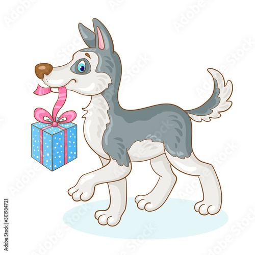 Funny gray husky puppy with a gift box in his teeth. In cartoon style. Isolated on white background. Vector illustration.