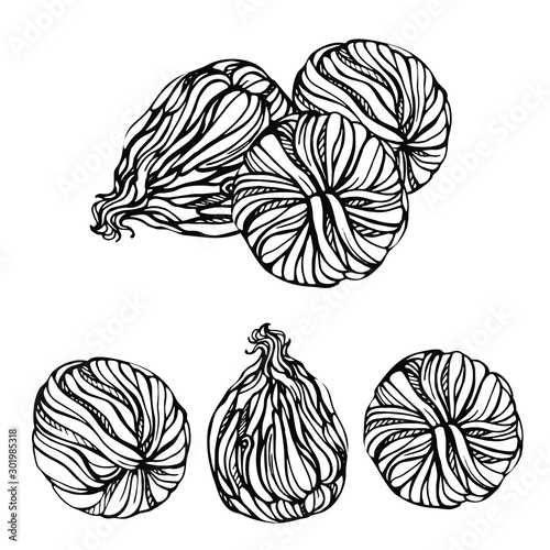 Sketch hand drawn Blooming green tea with flowers.  Exotic Blooming tea balls