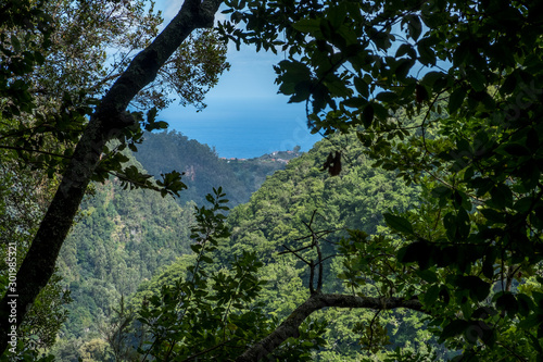 Canvas-taulu View from Levada Do Rei PR18, from Sao Jorge ending at the source in Ribeiro Bon