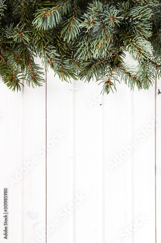 Christmas background with nature decoration
