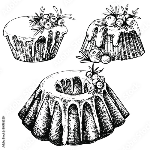 Hand drawn sketch of Traditional x-mas food, cake. Christmas illustration with traditional pudding. Christmas mini cake with sugar icing, cranberries and rosemary
