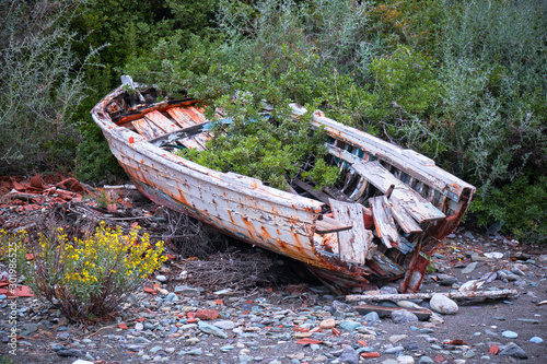 Wreck of a wooden boat with vegetation grown inside of it, on the shore at Sampatiki, Peloponnese, Greece. photo