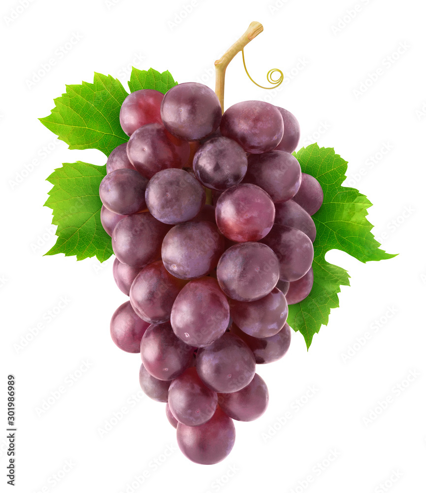 Fototapeta premium Isolated grapes. Hanging cluster of red grapes isolated on white background with clipping path