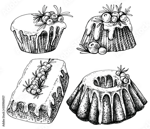Hand drawn sketch of Traditional x-mas food, cake. Christmas illustration with traditional pudding. Christmas mini cake with sugar icing, cranberries and rosemary