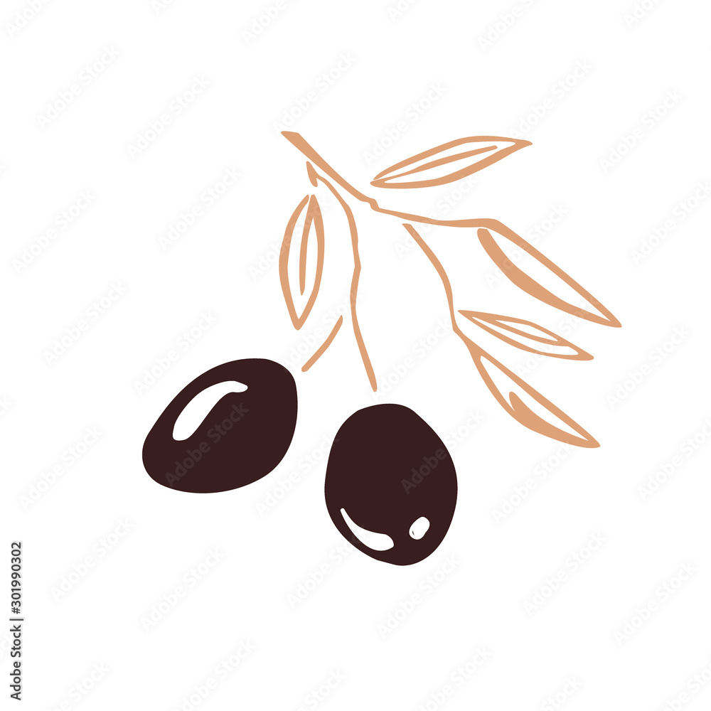 Stylized olive branch silhouette with olives and leaves. Vector icon illustration, sketch design element for labels or packaging Stylized olive branch silhouette with olives and leaves. Vector icon illustration, sketch design element for labels or packaging