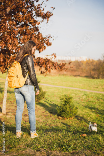 Walking with a dog in nature - a girl with her four-legged friend of breed Jack Russell Terrier © andrey gonchar