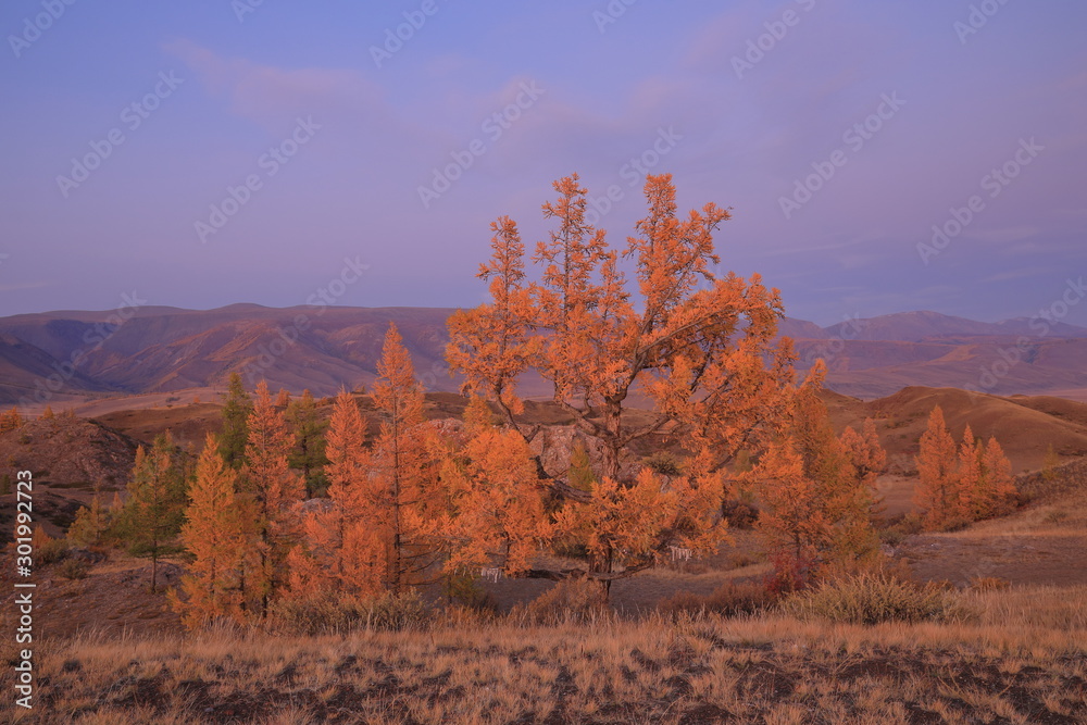 Fototapeta premium autumn in the mountains