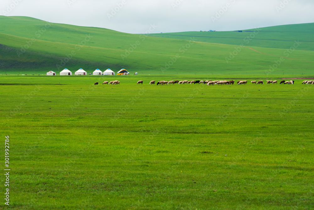 Autumn grassland scenery of hulunbuir, Inner Mongolia, China