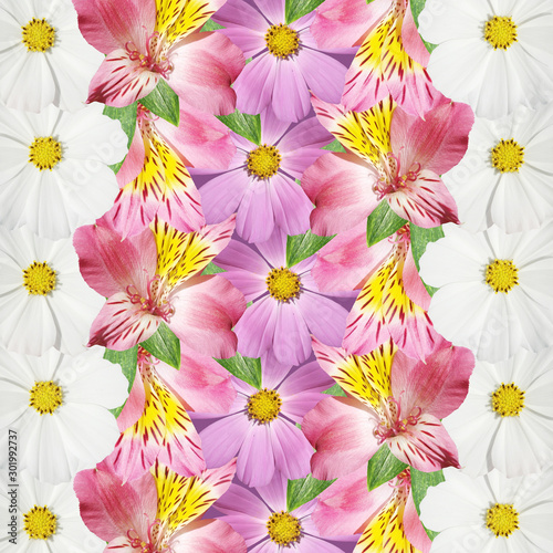 Beautiful floral background of alstroemeria and kosmeya. Isolated