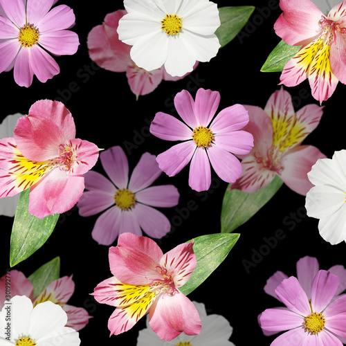 Beautiful floral background of alstroemeria and kosmeya. Isolated