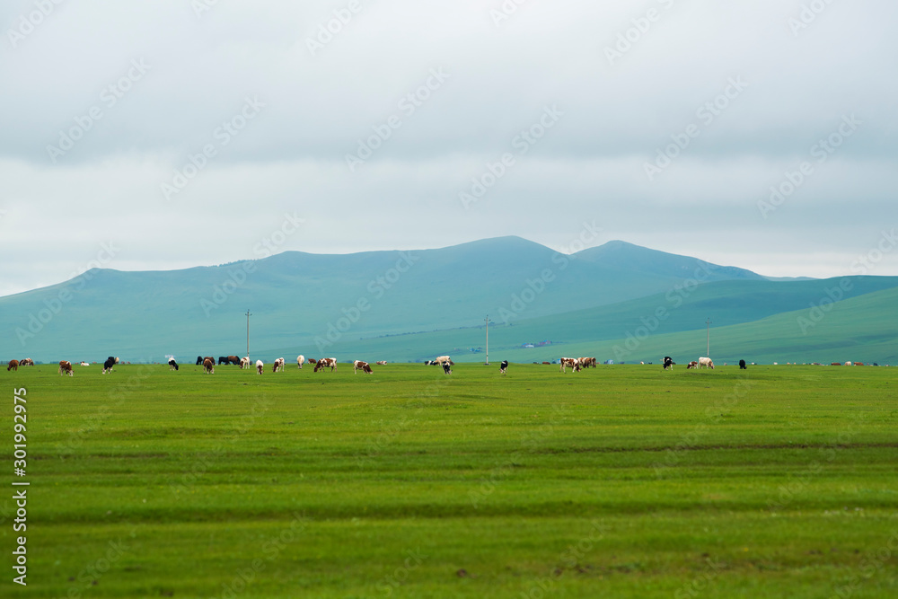 Autumn grassland scenery of hulunbuir, Inner Mongolia, China Autumn grassland scenery of hulunbuir, Inner Mongolia, China