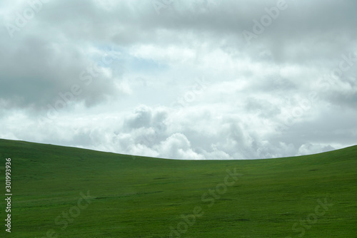 Autumn grassland scenery of hulunbuir  Inner Mongolia  China