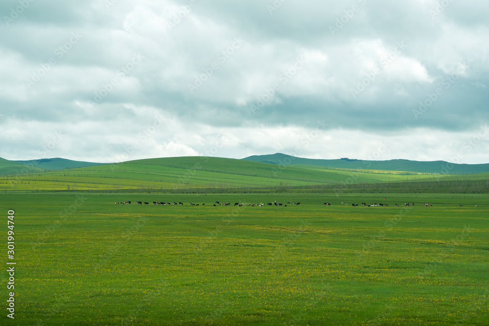 Autumn grassland scenery of hulunbuir, Inner Mongolia, China