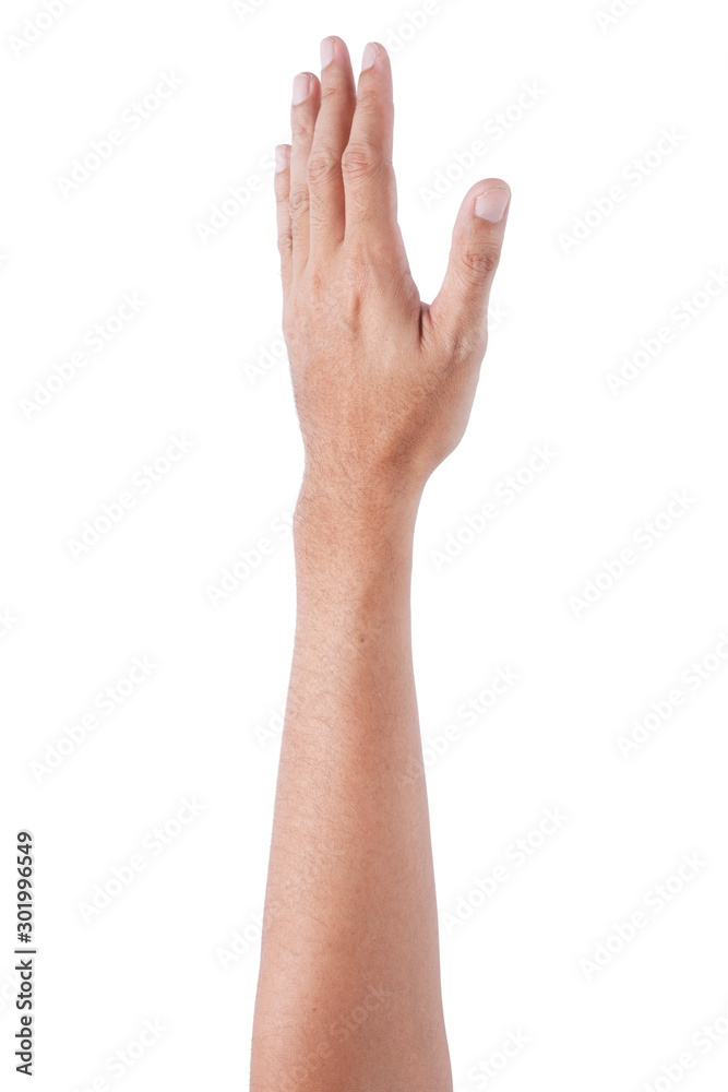 Male asian hand gestures isolated over the white background. Male asian hand gestures isolated over the white background.