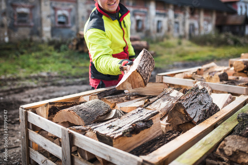 Man collects a pile of firewood on a heap. Coniferous and deciduous stacks of firewood. Industry and worker in concept of power and energy.