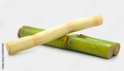 Sugar cane isolated on white background 