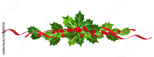 vector illustration of  mistletoe christmas composition on white background
