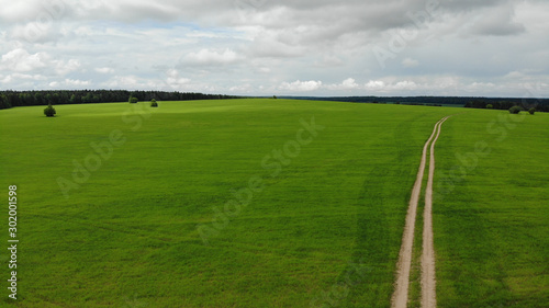 Rural road that goes through green meadows and fields. Sunny summer day