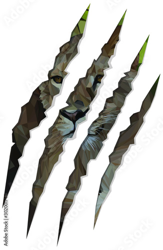 Low poly illustration of a African Lioness inside of the shape of its claw marks