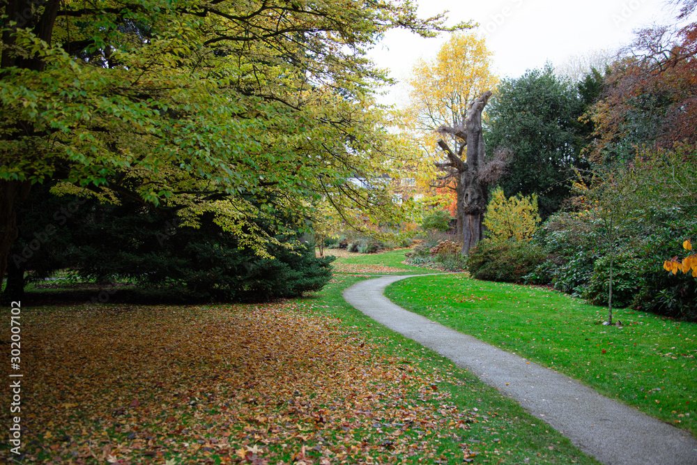A path in the park on autumn day