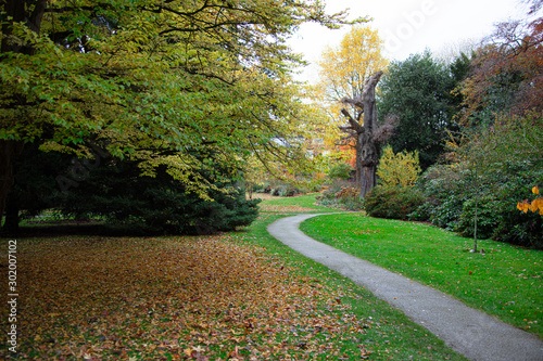 Obraz na płótnie A path in the park on autumn day w salonie