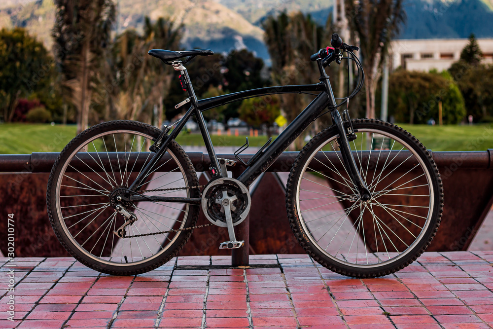 Fototapeta premium Bicycle