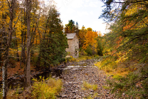 Mill in the Forest